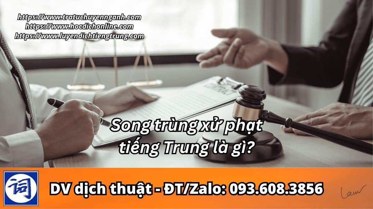 Song trùng xử phạt tiếng Trung là gì? 3 Song trùng xử phạt tiếng Trung là gì?