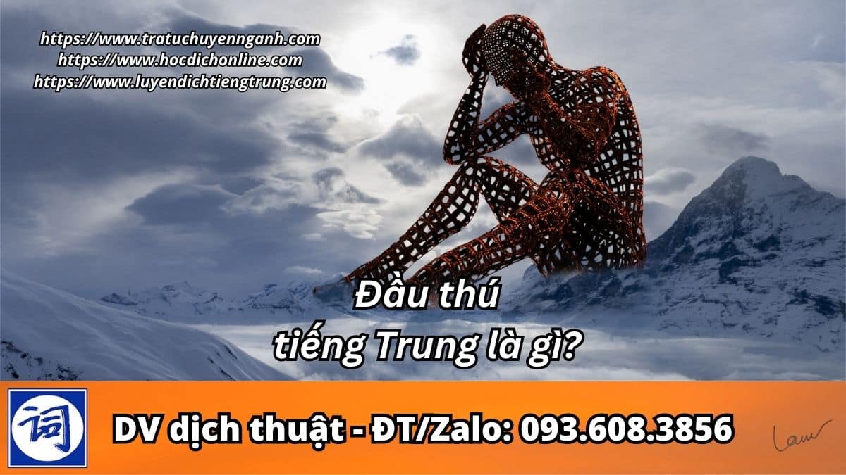Đầu thú tiếng Trung là gì? 2 Đầu thú tiếng Trung là gì?