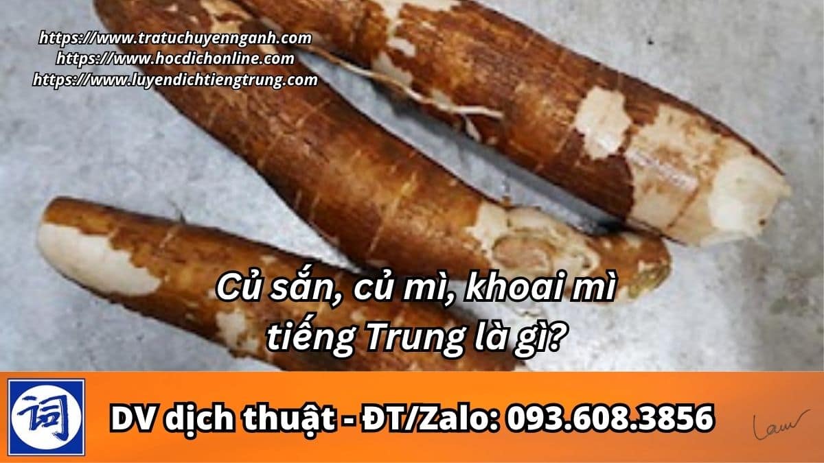 Củ sắn, củ mì, khoai mì tiếng Trung là gì? 5 Củ sắn, củ mì, khoai mì tiếng Trung là gì?