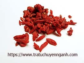 Kỷ tử tiếng Trung là gì? 5 Kỷ tử tiếng Trung là gì?