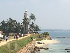 Hải đăng tiếng Trung là gì? 1 haidang