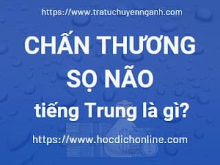 Chấn thương sọ não tiếng Trung là gì? 1 Chấn thương sọ não tiếng Trung là gì?