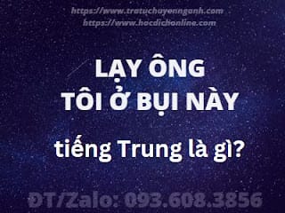 Lạy ông tôi ở bụi này tiếng Trung là gì? 1 Lạy ông tôi ở bụi này tiếng Trung là gì?