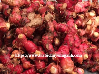 Củ riềng tiếng Trung là gì? 14 Củ riềng tiếng Trung là gì?