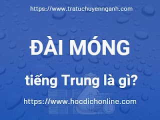 Đài móng tiếng Trung là gì? 1 Đài móng tiếng Trung là gì?