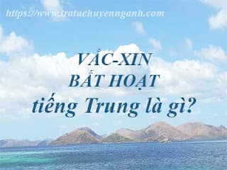 Vắc-xin bất hoạt tiếng Trung là gì? 1 Vắc-xin bất hoạt tiếng Trung là gì?
