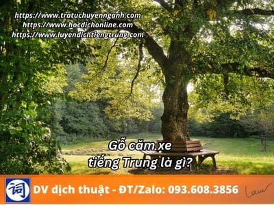 Gỗ căm xe tiếng Trung là gì? 12 Gỗ căm xe tiếng Trung là gì?