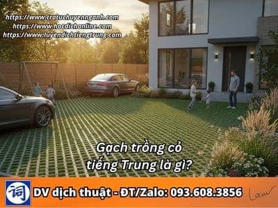 Gạch trồng cỏ tiếng Trung là gì? 1 Gạch trồng cỏ tiếng Trung là gì?