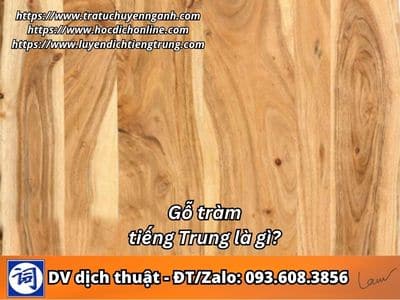 Gỗ tràm tiếng Trung là gì? 8 Gỗ tràm tiếng Trung là gì?