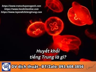 Huyết khối tiếng Trung là gì? 1 Huyết khối tiếng Trung là gì?