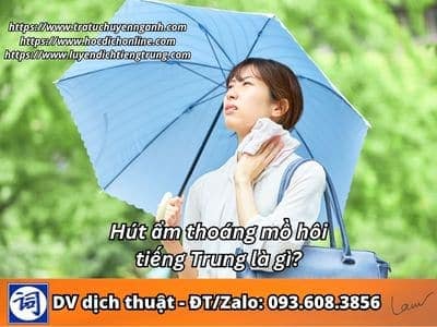 Hút ẩm thoáng mồ hôi tiếng Trung là gì? 1 Hút ẩm thoáng mồ hôi tiếng Trung là gì?