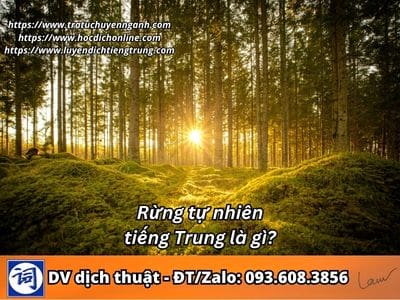 Rừng tự nhiên tiếng Trung là gì? 1 Rừng tự nhiên tiếng Trung là gì?