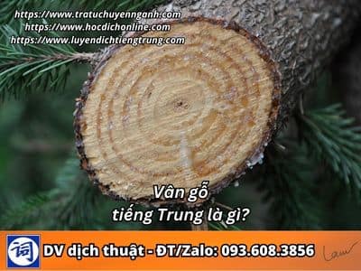 Vân gỗ tiếng Trung là gì? 6 Vân gỗ tiếng Trung là gì?