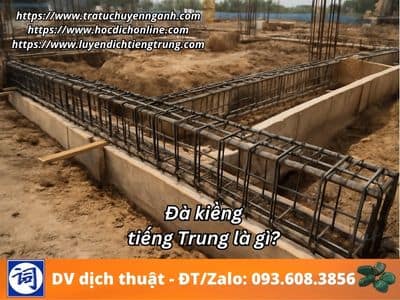Đà kiềng tiếng Trung là gì? 1 Đà kiềng tiếng Trung là gì?