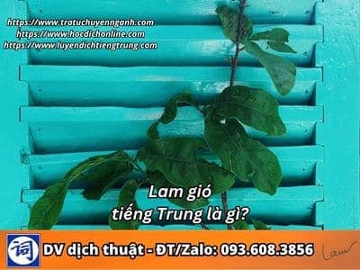 Lam gió tiếng Trung là gì? 1 Lam gió tiếng Trung là gì?