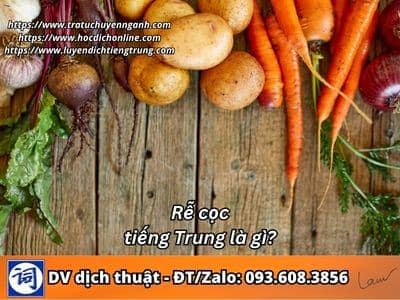 Rễ cọc tiếng Trung là gì? 1 Rễ cọc tiếng Trung là gì?