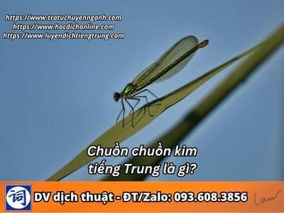 Chuồn chuồn kim tiếng Trung là gì? 1 Chuồn chuồn kim tiếng Trung là gì?