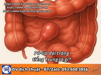 Polyp đại tràng tiếng Trung là gì? 1 Polyp đại tràng tiếng Trung là gì?