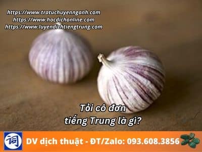 Tỏi cô đơn tiếng Trung là gì? 1 Tỏi cô đơn tiếng Trung là gì?