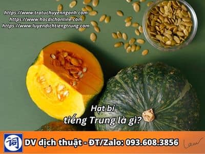 Hạt bí tiếng Trung là gì? 1 Hạt bí tiếng Trung là gì?
