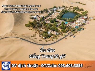 Ốc đảo tiếng Trung là gì? 1 Ốc đảo tiếng Trung là gì?