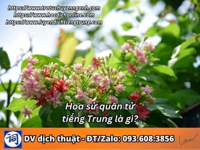 Hoa sử quân tử tiếng Trung là gì? 1 Hoa sử quân tử tiếng Trung là gì?
