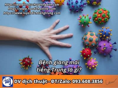 Bệnh giang mai tiếng Trung là gì? 1 Bệnh giang mai tiếng Trung là gì?