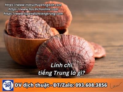 Linh chi tiếng Trung là gì? 1 Linh chi tiếng Trung là gì?