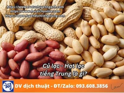 Củ lạc tiếng Trung là gì? 1 Củ lạc tiếng Trung là gì?