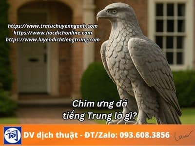 Chim ưng đá tiếng Trung là gì? 1 Chim ưng đá tiếng Trung là gì?