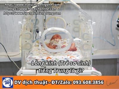 Lồng kính tiếng Trung là gì? 1 Lồng kính tiếng Trung là gì?