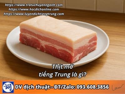 Thịt mỡ tiếng Trung là gì? 1 Thịt mỡ tiếng Trung là gì?