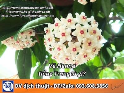Hoa cẩm cù tiếng Trung là gì? 1 Hoa cẩm cù tiếng Trung là gì?