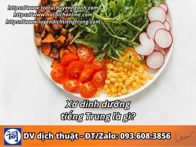 Xơ dinh dưỡng tiếng Trung là gì? 1 Xơ dinh dưỡng tiếng Trung là gì?