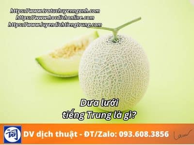 Dưa lưới tiếng Trung là gì? 1 Dưa lưới tiếng Trung là gì?