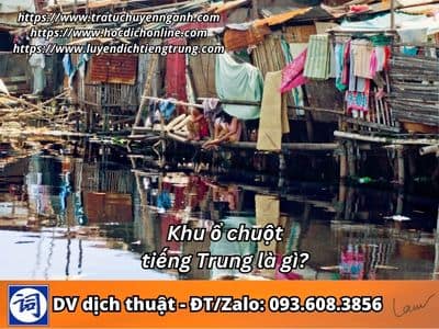Khu ổ chuột tiếng Trung là gì? 1 Khu ổ chuột tiếng Trung là gì?