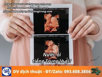 Nước ối tiếng Trung là gì? 1 Nước ối tiếng Trung là gì?