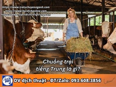 Chuồng trại tiếng Trung là gì? 1 Chuồng trại tiếng Trung là gì?