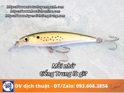 Mồi nhử tiếng Trung là gì? 1 Mồi nhử tiếng Trung là gì?