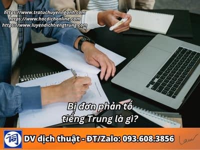 Bị đơn phản tố tiếng Trung là gì? 7 Bị đơn phản tố tiếng Trung là gì?