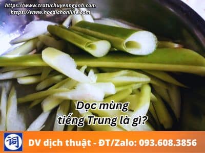 Dọc mùng tiếng Trung là gì? 5 Dọc mùng tiếng Trung là gì?