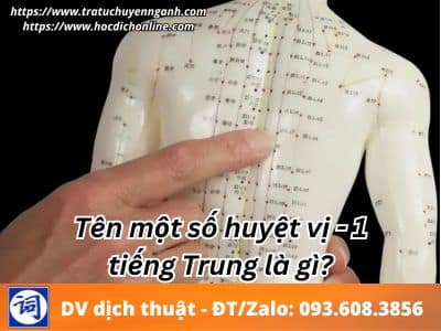 Tên một số huyệt vị Đông y tiếng Trung là gì?-Phần 1 3 Tên một số huyệt vị Đông y tiếng Trung là gì?-Phần 1