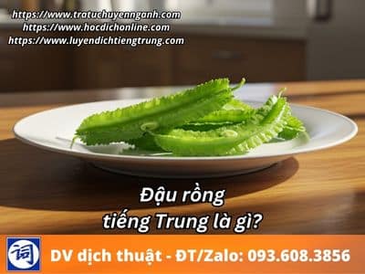 Đậu rồng tiếng Trung là gì? 1 Đậu rồng tiếng Trung là gì?