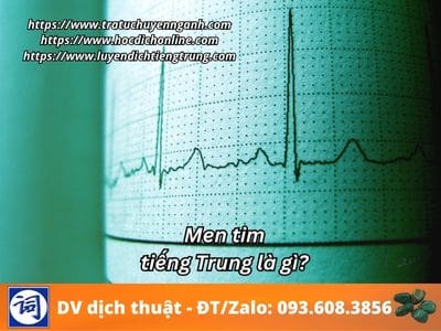 Men tim tiếng Trung là gì? 1 Men tim tiếng Trung là gì?