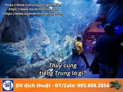 Thủy cung tiếng Trung là gì? 1 Thủy cung tiếng Trung là gì?