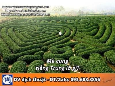 Mê cung tiếng Trung là gì? 1 Mê cung tiếng Trung là gì?